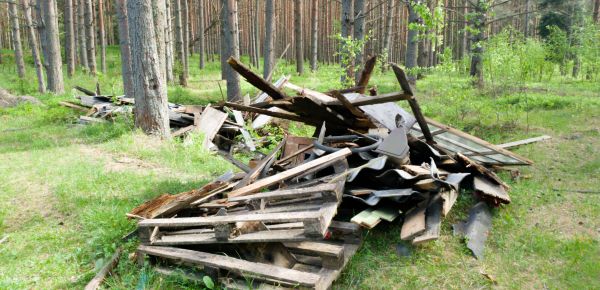 Debris Removal Service in Perrysburg