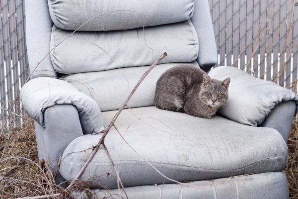 Recliner Disposal in Perrysburg
